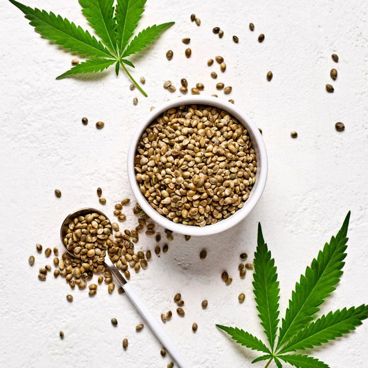 Hemp Foods